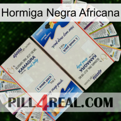 African Black Ant kamagra1